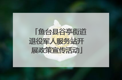 鱼台县谷亭街道退役军人服务站开展政策宣传活动
