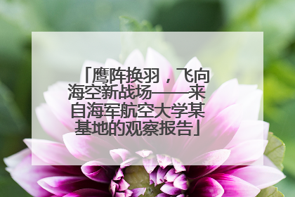 鹰阵换羽，飞向海空新战场——来自海军航空大学某基地的观察报告