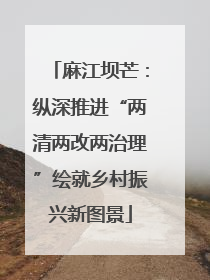 麻江坝芒：纵深推进“两清两改两治理”绘就乡村振兴新图景