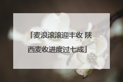 麦浪滚滚迎丰收 陕西麦收进度过七成