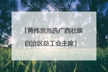 黄伟京当选广西壮族自治区总工会主席
