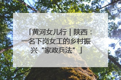 黄河女儿行｜陕西：一名下岗女工的乡村振兴“家政兵法”