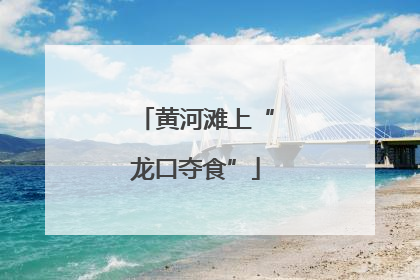 黄河滩上“龙口夺食”