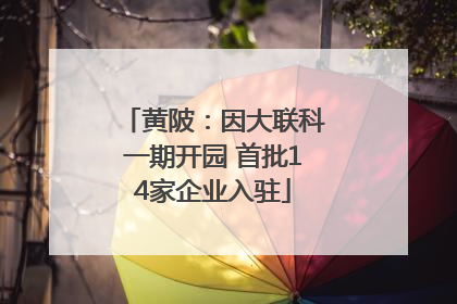 黄陂：因大联科一期开园 首批14家企业入驻