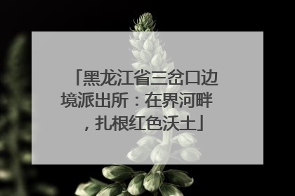 黑龙江省三岔口边境派出所：在界河畔，扎根红色沃土