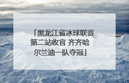 黑龙江省冰球联赛第二站收官 齐齐哈尔兰迪一队夺冠