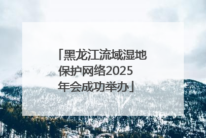 黑龙江流域湿地保护网络2025年会成功举办