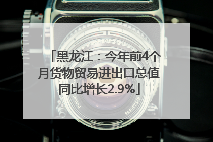 黑龙江：今年前4个月货物贸易进出口总值同比增长2.9%