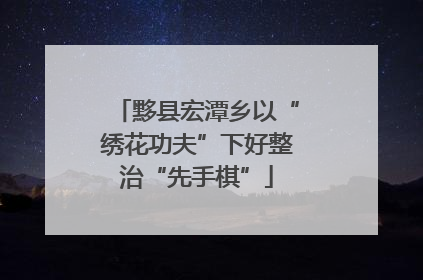 黟县宏潭乡以“绣花功夫”下好整治“先手棋”