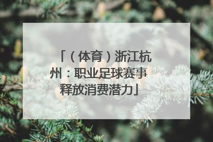 （体育）浙江杭州：职业足球赛事释放消费潜力