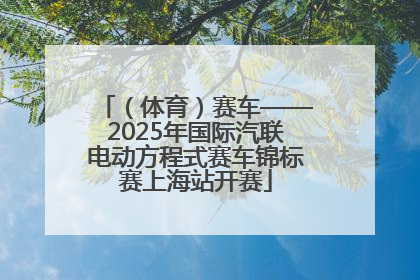 （体育）赛车——2025年国际汽联电动方程式赛车锦标赛上海站开赛