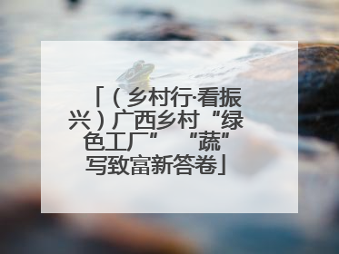 （乡村行·看振兴）广西乡村“绿色工厂” “蔬”写致富新答卷