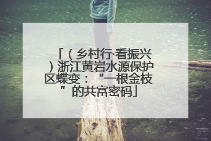 （乡村行·看振兴）浙江黄岩水源保护区蝶变：“一根金枝”的共富密码