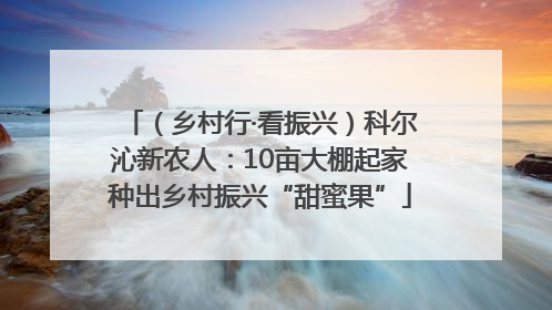 （乡村行·看振兴）科尔沁新农人：10亩大棚起家种出乡村振兴“甜蜜果”