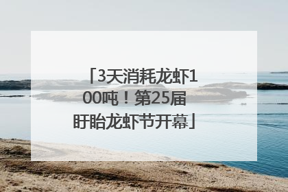 3天消耗龙虾100吨！第25届盱眙龙虾节开幕