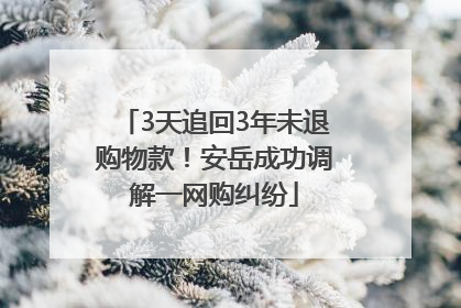 3天追回3年未退购物款！安岳成功调解一网购纠纷