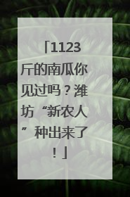 1123斤的南瓜你见过吗？潍坊“新农人”种出来了！