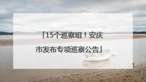 15个巡察组！安庆市发布专项巡察公告