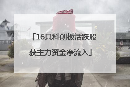 16只科创板活跃股获主力资金净流入