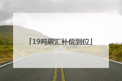 19吨碳汇补偿到位
