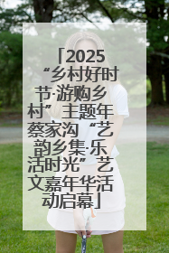 2025“乡村好时节·游购乡村”主题年蔡家沟“艺韵乡集·乐活时光”艺文嘉年华活动启幕