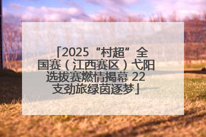 2025“村超”全国赛（江西赛区）弋阳选拔赛燃情揭幕 22支劲旅绿茵逐梦