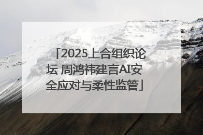 2025上合组织论坛 周鸿祎建言AI安全应对与柔性监管