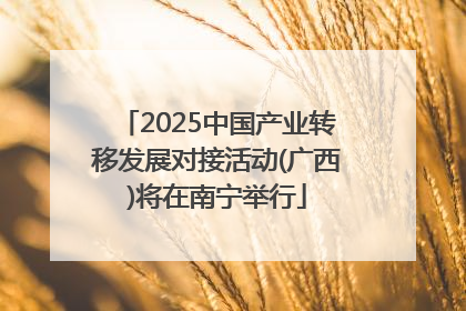 2025中国产业转移发展对接活动(广西)将在南宁举行