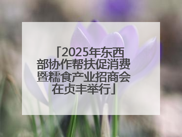 2025年东西部协作帮扶促消费暨糯食产业招商会在贞丰举行