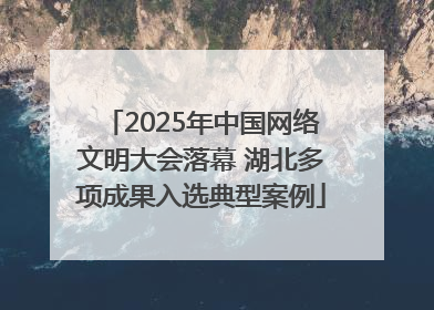 2025年中国网络文明大会落幕 湖北多项成果入选典型案例