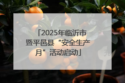 2025年临沂市暨平邑县“安全生产月”活动启动