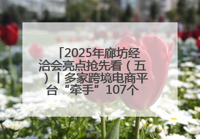 2025年廊坊经洽会亮点抢先看（五）丨多家跨境电商平台“牵手”107个特色产业集群