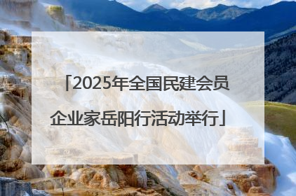 2025年全国民建会员企业家岳阳行活动举行