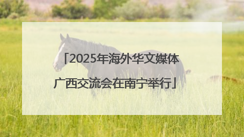 2025年海外华文媒体广西交流会在南宁举行