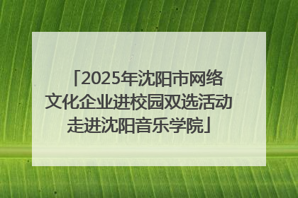 2025年沈阳市网络文化企业进校园双选活动走进沈阳音乐学院