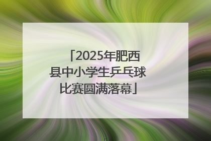 2025年肥西县中小学生乒乓球比赛圆满落幕