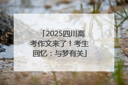 2025四川高考作文来了！考生回忆：与梦有关