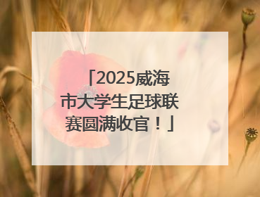 2025威海市大学生足球联赛圆满收官！