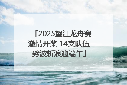 2025望江龙舟赛激情开桨 14支队伍劈波斩浪迎端午