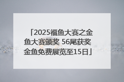 2025福鱼大赛之金鱼大赛颁奖 56尾获奖金鱼免费展览至15日