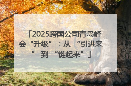 2025跨国公司青岛峰会“升级”：从 “引进来” 到 “链起来”