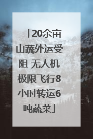 20余亩山蔬外运受阻 无人机极限飞行8小时转运6吨蔬菜