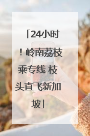 24小时！岭南荔枝乘专线 枝头直飞新加坡