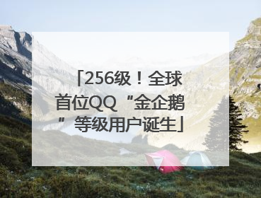 256级！全球首位QQ“金企鹅”等级用户诞生