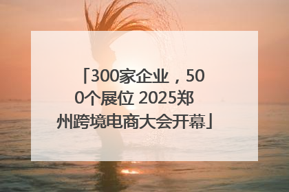 300家企业，500个展位 2025郑州跨境电商大会开幕