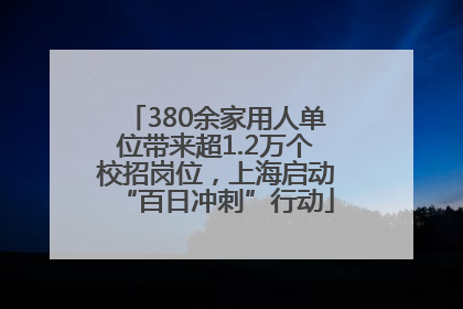 380余家用人单位带来超1.2万个校招岗位，上海启动“百日冲刺”行动