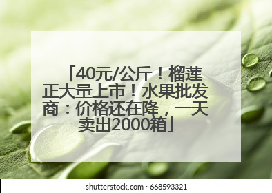 40元/公斤！榴莲正大量上市！水果批发商：价格还在降，一天卖出2000箱