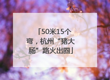 50米15个弯，杭州“猪大肠”路火出圈