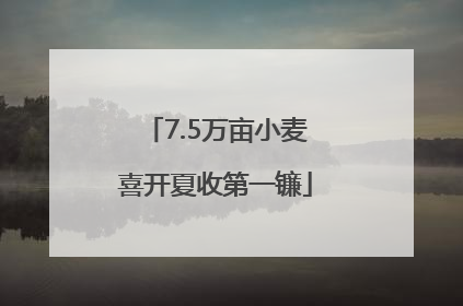 7.5万亩小麦喜开夏收第一镰