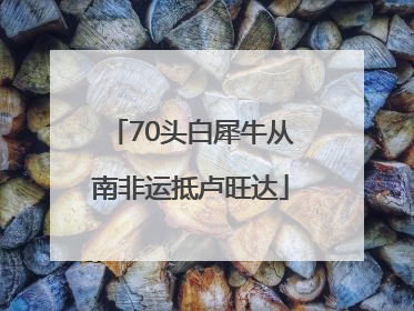 70头白犀牛从南非运抵卢旺达
